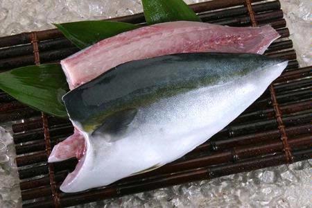 Hamachi Fillet